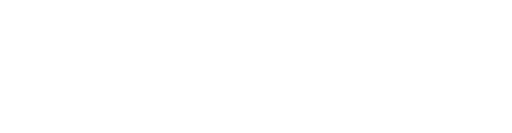Dynami